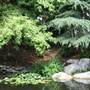 Chinese Garden of Friendship - Darling Harbour