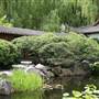 Chinese Garden of Friendship - Darling Harbour