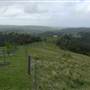 Jamberoo Farm