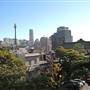Darlinghurst - Forbes St, Thomson Lane, St Peters Lane