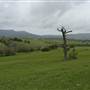 Jamberoo Area