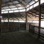 Deeargee Woolshed