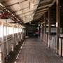 Deeargee Woolshed