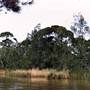 Deep Creek Reserve