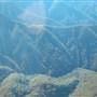 Dorrigo - Aerial Shots