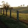 Dorrigo - General