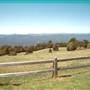 Dorrigo - General