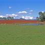 Dorrigo - General