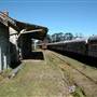 Dorrigo Steam Railway & Museum (Non-Profit Collection)
