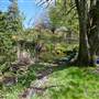 Lady Fairfax Gardens