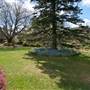 Lady Fairfax Gardens
