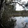 Lake Cathie - Lake Innes Nature Reserve