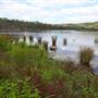 Lake Yarrunga