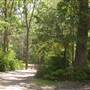 Lane Cove National Park