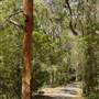 Lane Cove National Park