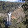 Ebor Falls