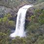 Ebor Falls