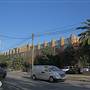 Marrickville - Carrington Road