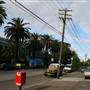 Marrickville - Carrington Road