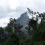 Mount Warning - Wollumbin National Park