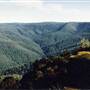 Barrington Tops National Park