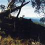 Barrington Tops National Park