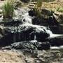 Barrington Tops National Park