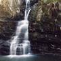 Barrington Tops National Park