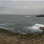 Bass Point Reserve to Maloneys Bay