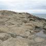 Bass Point Reserve to Maloneys Bay