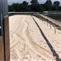 Belmont Park