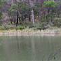 Berrima Reserve