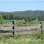 Berry Area Farms