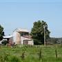 Berry Area Farms