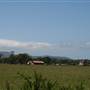 Berry Area Farms