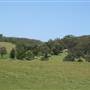 Berry Area Farms