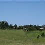 Berry Area Farms