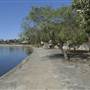 Blackwattle Bay Park