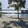 Blackwattle Bay Park