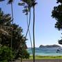 Lord Howe Island