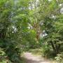 Bonnie Vale Campground - Royal National Park