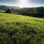 Jamberoo