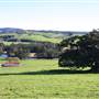 Jamberoo