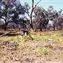 Bourke & Environs