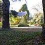 Bowral - Southern Highlands