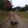 Braidwood