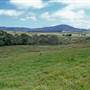 Braidwood surrounds