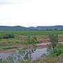 Broke vineyards