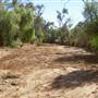 Silverton Road