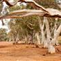 BROKEN HILL - Town & Surrounds